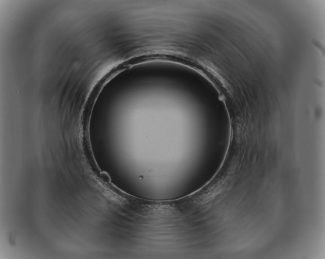 X0000091571024200708271153
