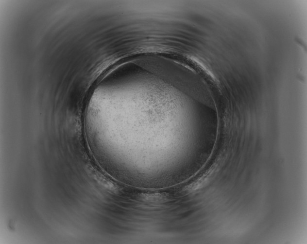 X0000091571025200708271153