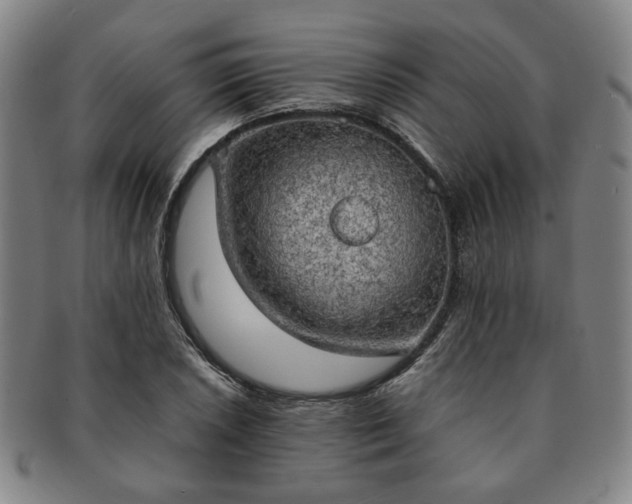 X0000091571026200708271153