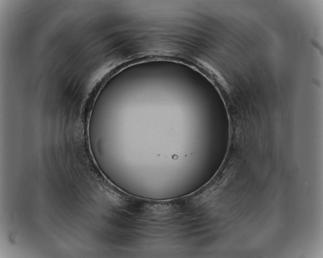 X0000091571027200708271153