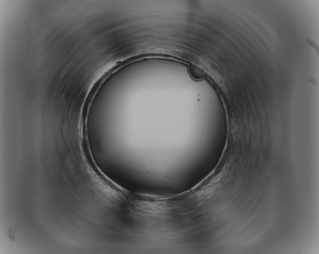 X0000091571028200708271153