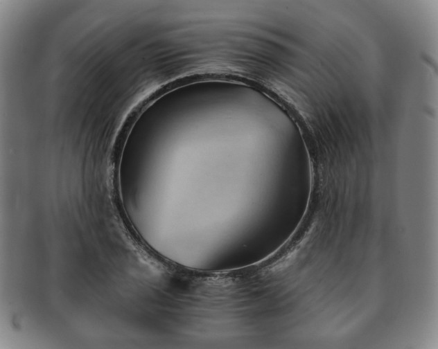 X0000091571029200708271153
