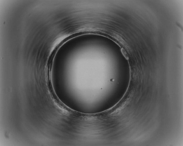 X0000091571030200708271153