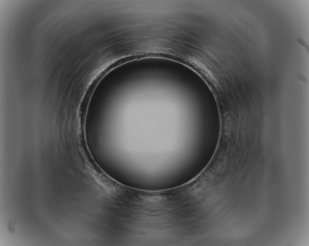 X0000091571031200708271153