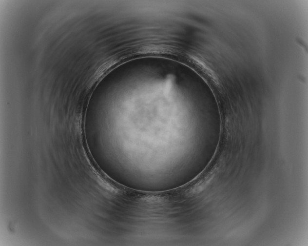X0000091571033200708271153