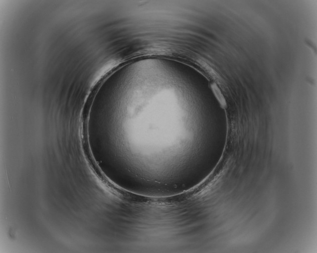 X0000091571034200708271153