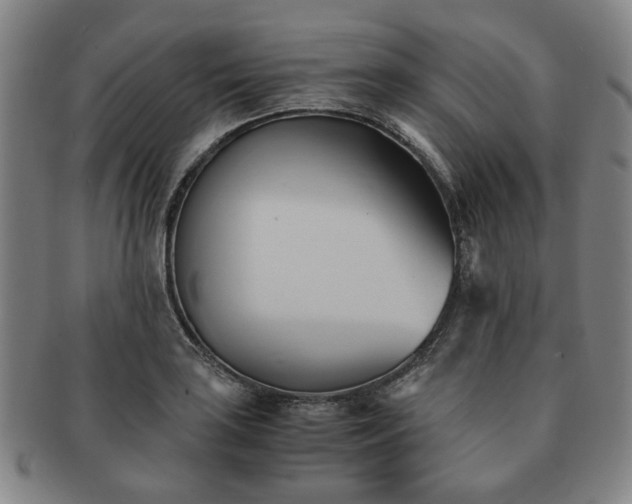 X0000091571035200708271153