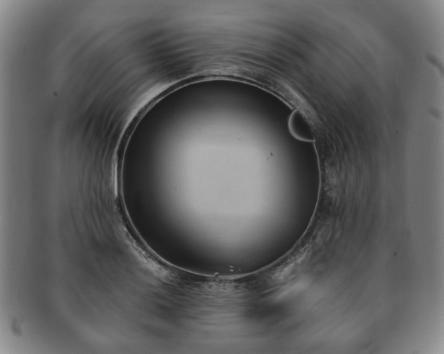 X0000091571036200708271153