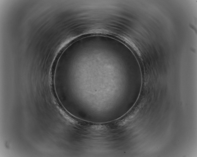 X0000091571037200708271153