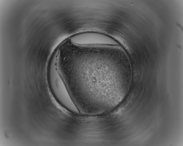 X0000091571038200708271153