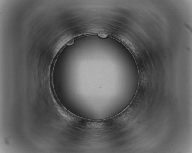 X0000091571039200708271153