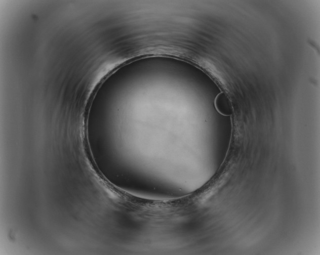 X0000091571040200708271153