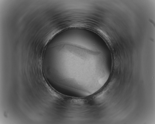 X0000091571041200708271153