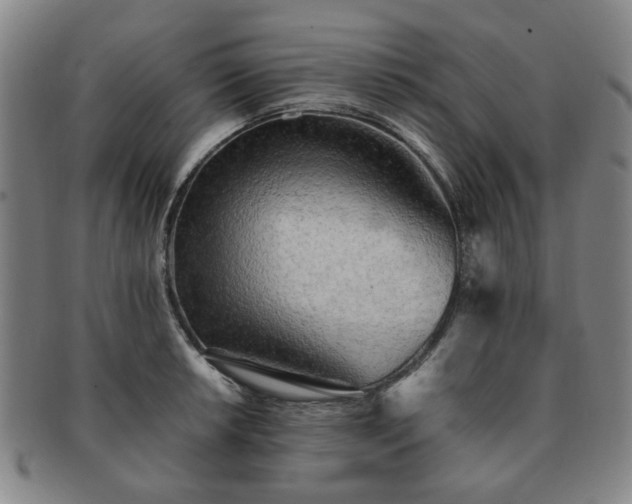 X0000091571042200708271153