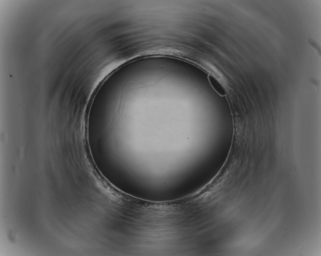 X0000091571044200708271153