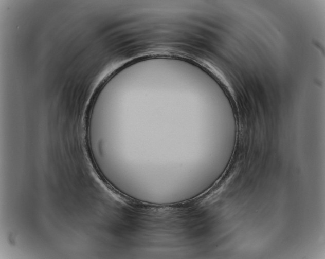 X0000091571045200708271153