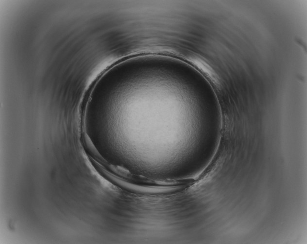 X0000091571046200708271153