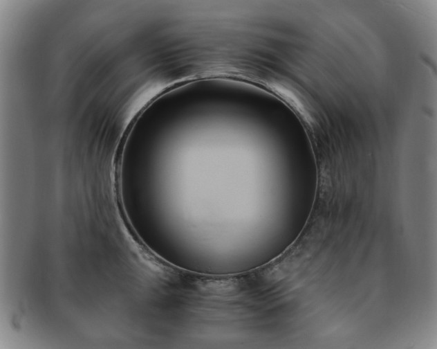 X0000091571047200708271153