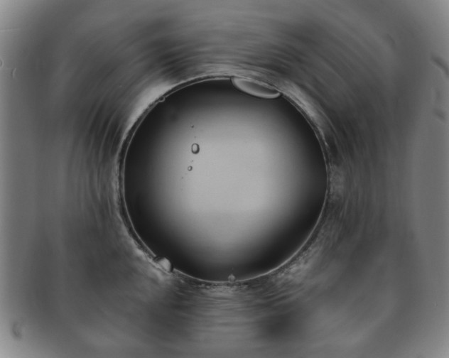 X0000091571048200708271153