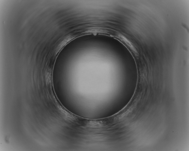 X0000091571049200708271153