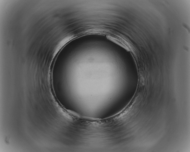 X0000091571050200708271153