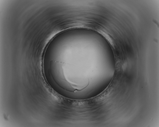 X0000091571051200708271153