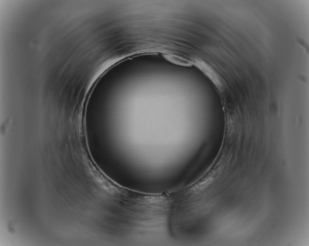 X0000091571052200708271153
