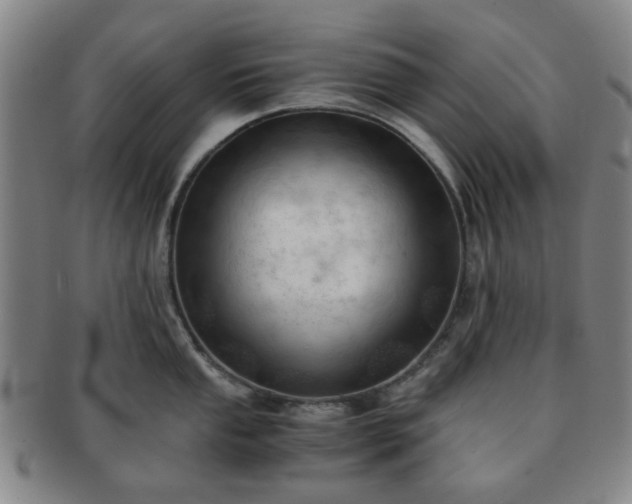X0000091571053200708271154
