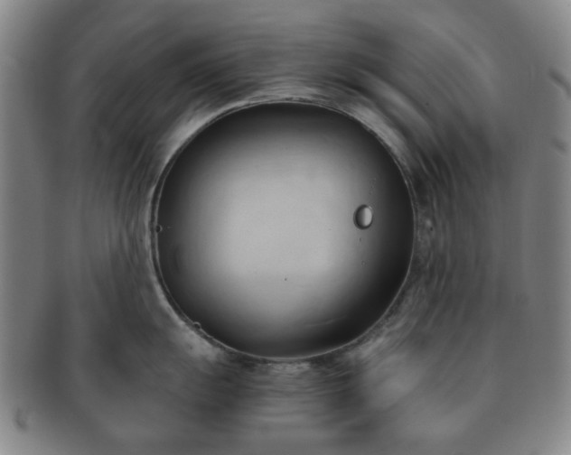 X0000091571055200708271154