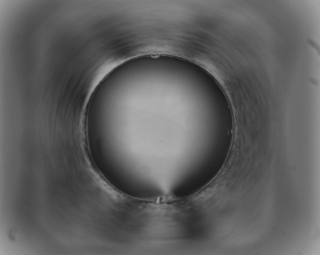 X0000091571056200708271154