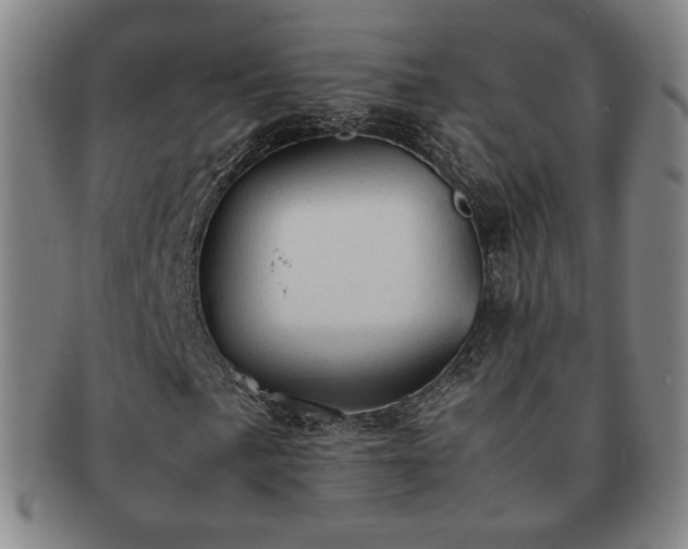 X0000091571057200708271153