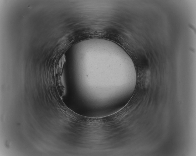 X0000091571058200708271153