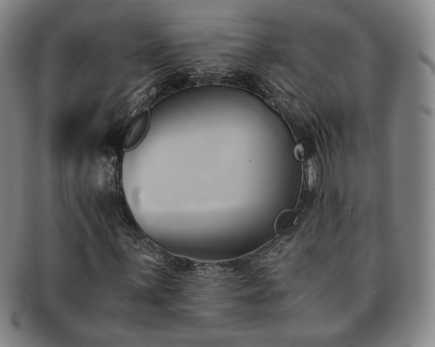 X0000091571059200708271153