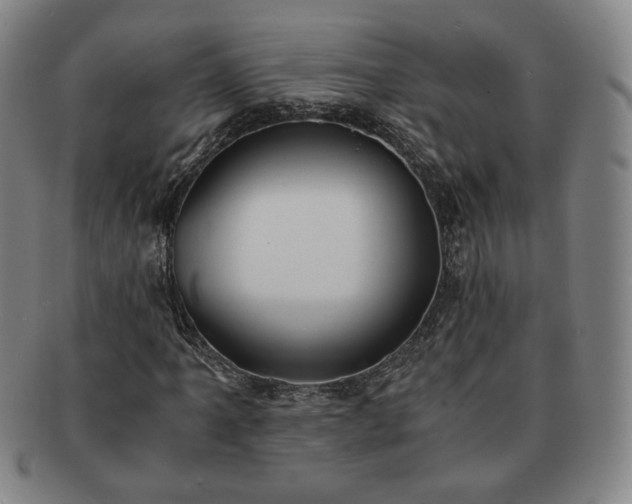 X0000091571061200708271153