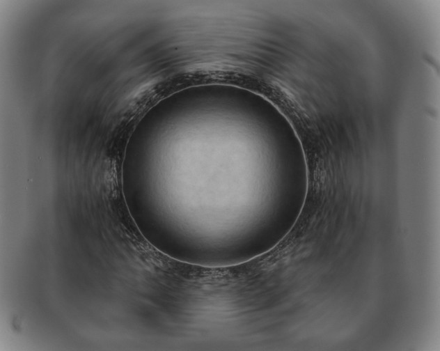 X0000091571062200708271153