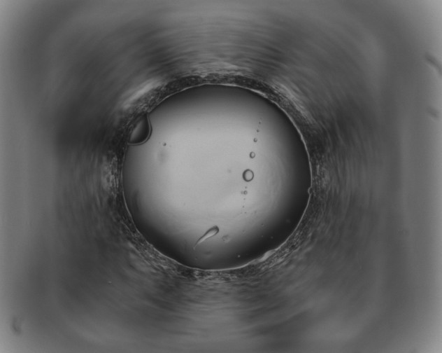 X0000091571063200708271153