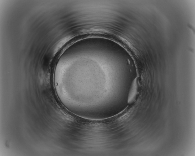 X0000091571066200708271153
