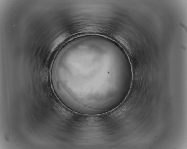 X0000091571067200708271153