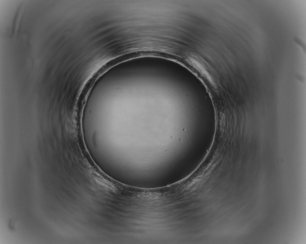 X0000091571068200708271153