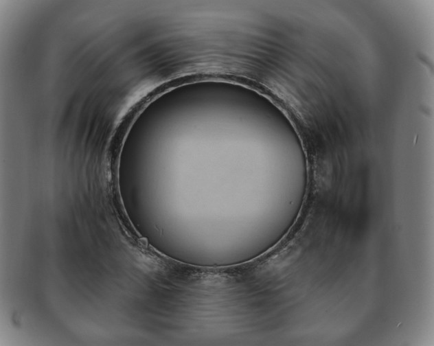 X0000091571070200708271153