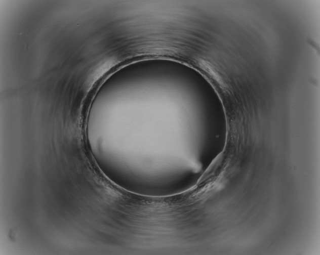X0000091571071200708271153