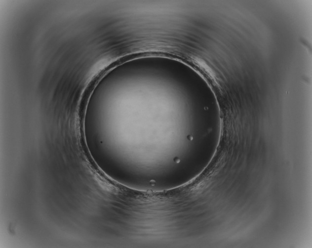 X0000091571072200708271153