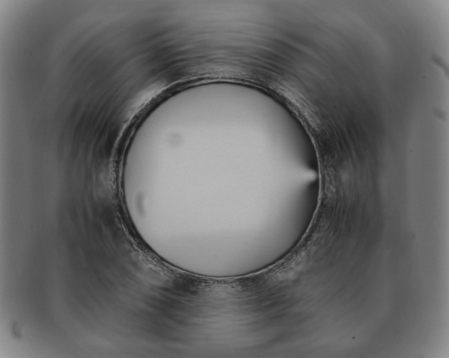 X0000091571074200708271153