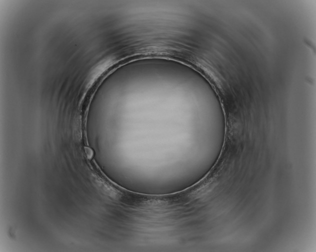 X0000091571075200708271153