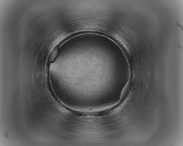X0000091571077200708271153