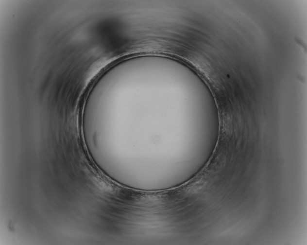 X0000091571078200708271153