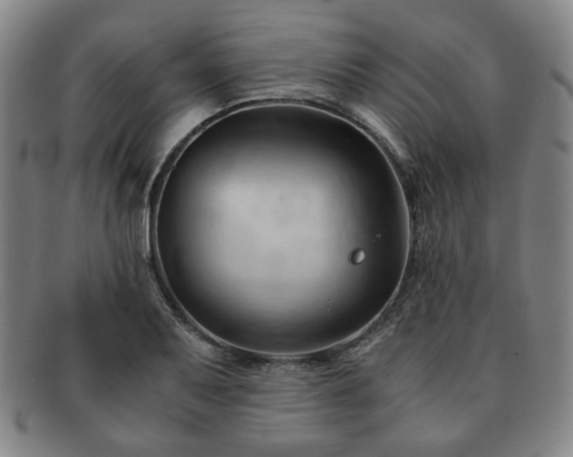 X0000091571079200708271153