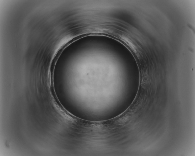 X0000091571080200708271153