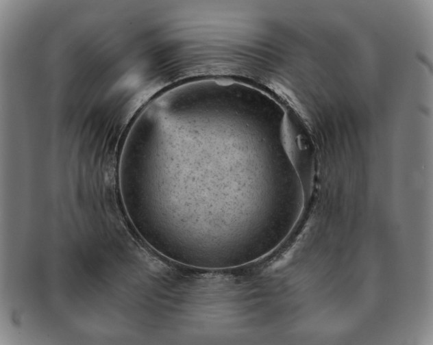 X0000091571081200708271153