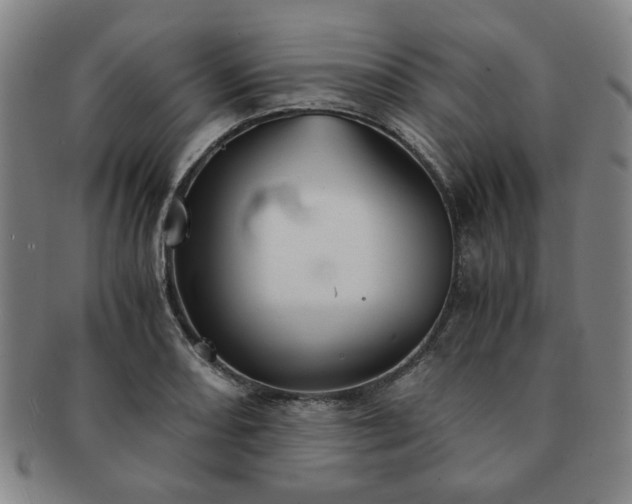 X0000091571082200708271153